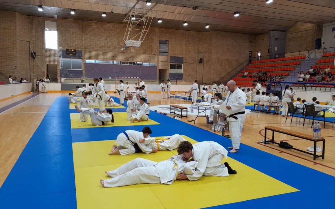 Mutua Madrid Open en Madrid
